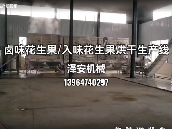 入味花生果烘干生產(chǎn)線視頻
